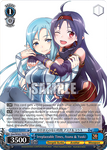 Gso/WS02-TE37 Irreplaceable Times, Asuna & Yuuki