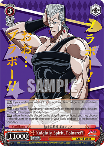 JJ/SE41-E54J Knightly Spirit, Polnareff