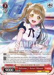 SIL/W109-E067 Welcome♪ Kotori Minami