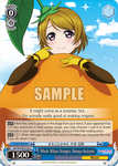 SIL/W109-E123 Whole Mikan Oranges, Hanayo Koizumi