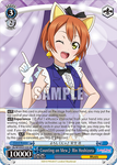 SIL/W109-E133S Counting on Mew♪ Rin Hoshizora