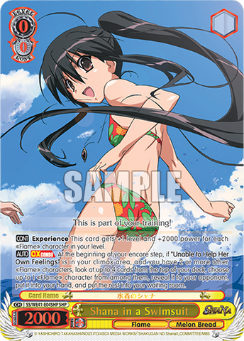 SS/WE41-E04SHP Shana in a Swimsuit