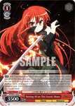 SS/WE41-E30 Betting All on This Sword, Shana